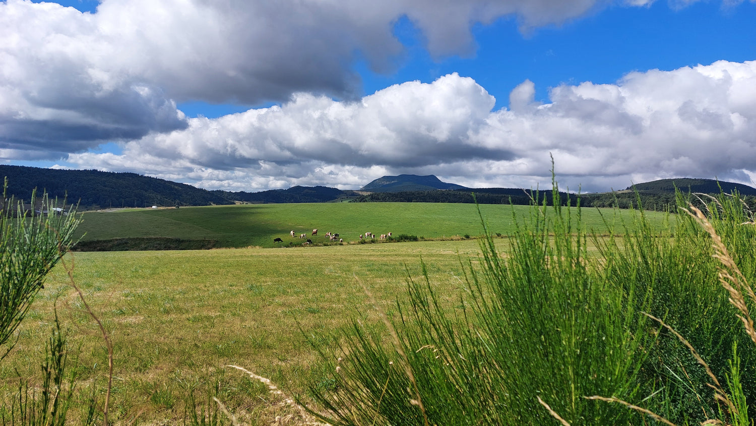 Le Mont Mézenc Haute-Loire croix de peccata