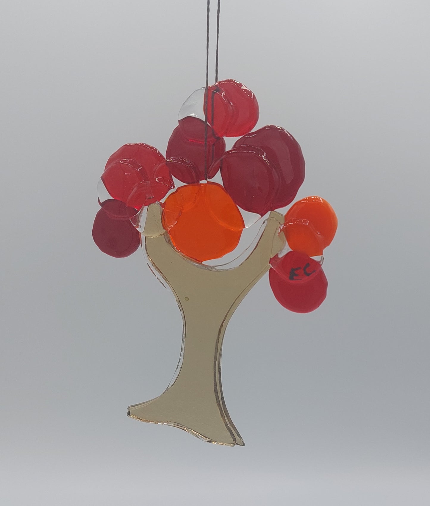 attrapes-soleil arbre