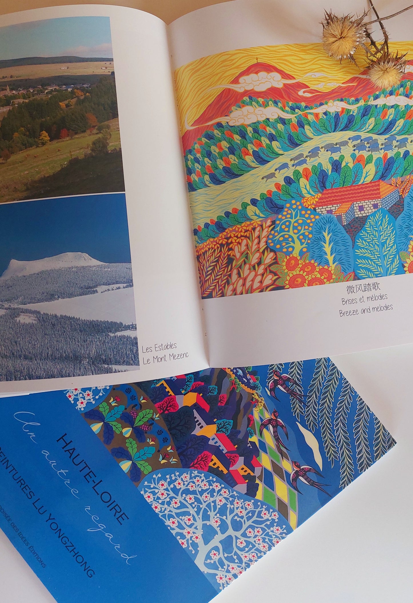 Livre Haute-Loire, un autre regard - livre illustré paysages de Haute-loire vu par l'Artiste Lu Yongzhong