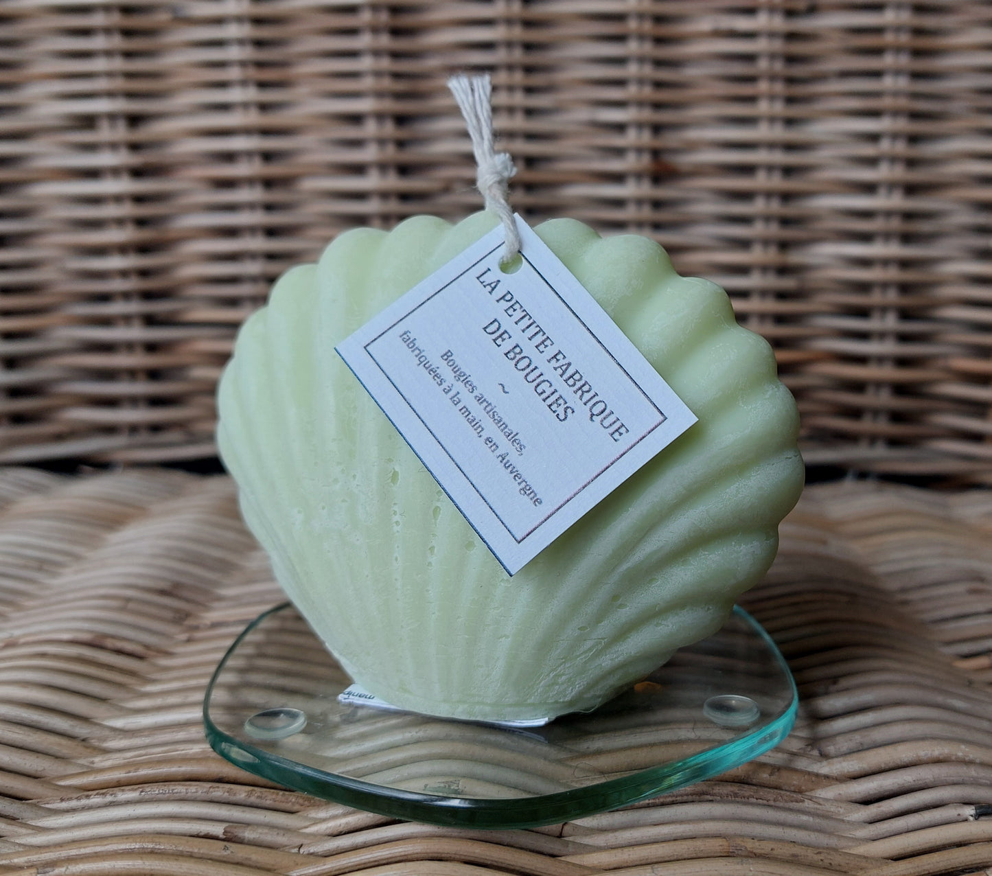 Bougie moulée "Coquille" parfum verveine