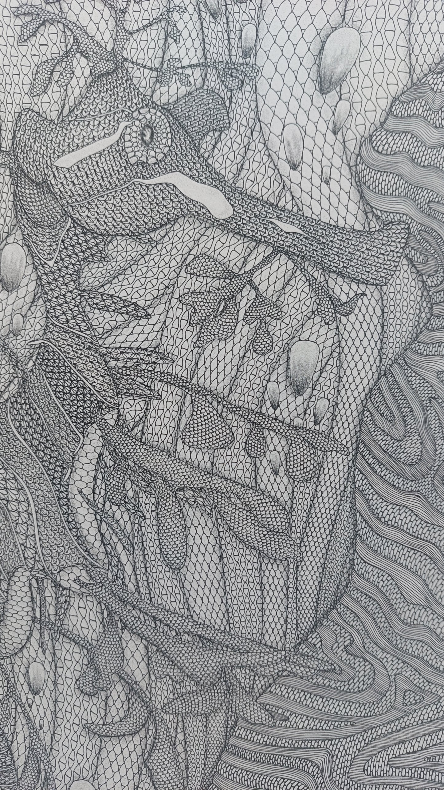 Affiche reproduction Hippocampe en dessin dentelle - Le Dentelier