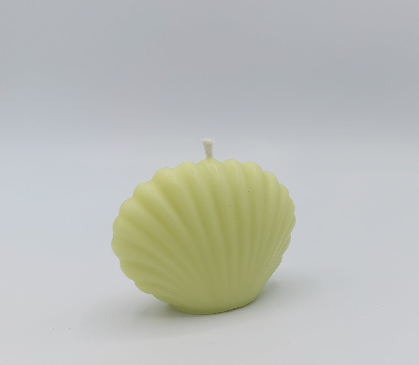 Petite bougie moulée artisanale en forme de coquille saint-Jacques, parfumée à la verveine