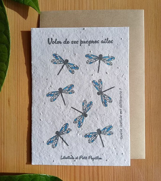 cartes-jeux pour enfants thème papillons, libellules, fraises, choux. idées originales pour accompagner un cadeau. carte anniversaire, carte noel enfant - carte à planter