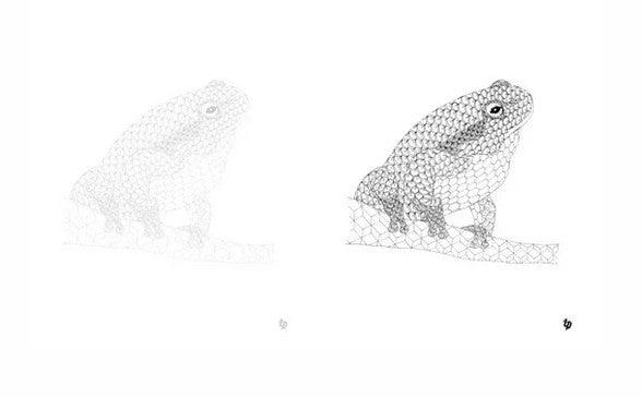 livre à colorier - Un trait de dentelle - éditions un dimanche après-midi - art du traçage et coloriage grenouille