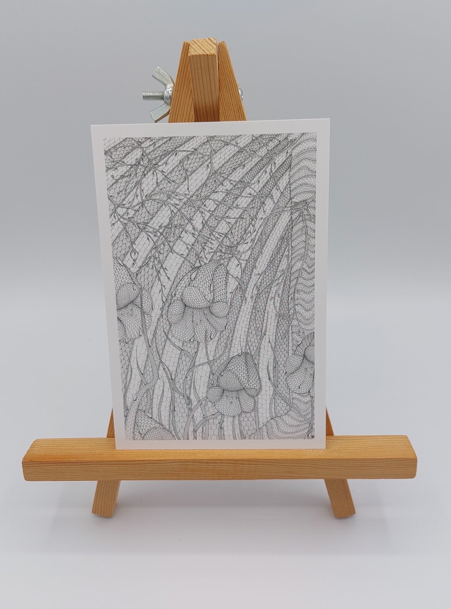 carte postale printemps - art graphique dessin dentelle