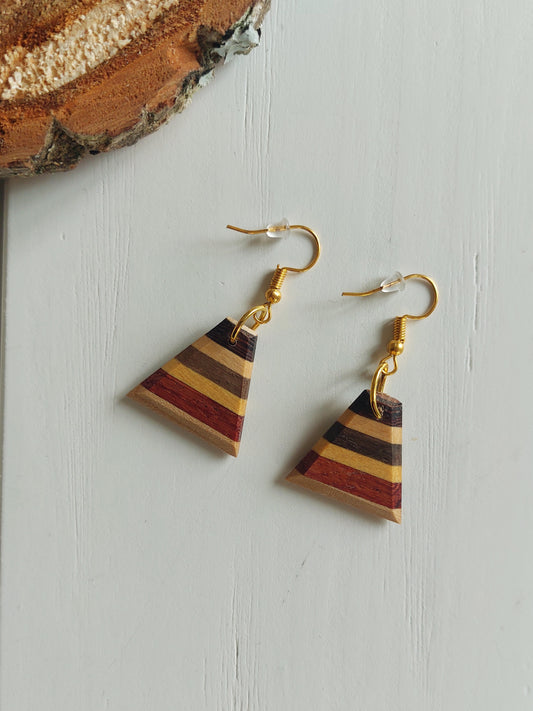 Boucles d'oreilles bois