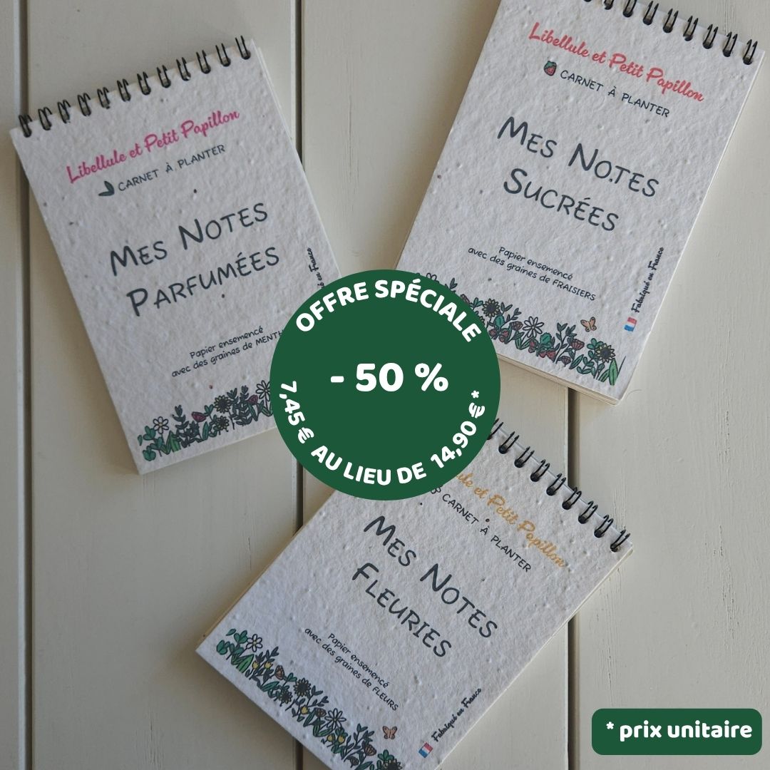 Carnets à Planter Libellule et Petit Papillon