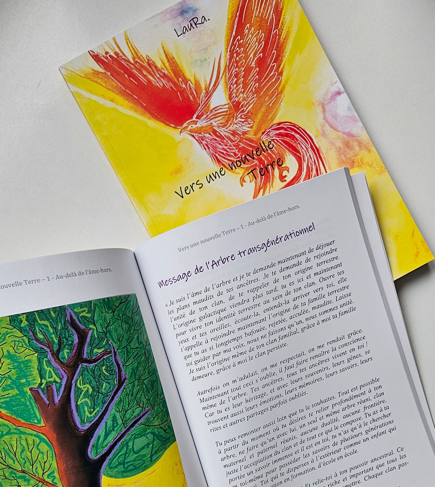 Vers une Nouvelle Terre" TOME 1 "Au-delà de l'âme-hors" par l’auteure-illustratrice LauRa. Livre de développement personnel - La mort, un sujet complexe à aborder dans notre société occidentale. 
